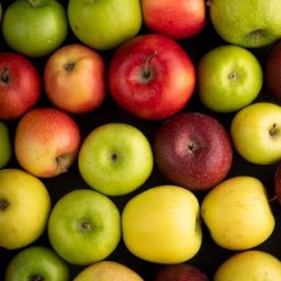 🍎 The Apple: America’s Favorite Fall Fruit